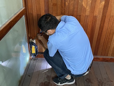 广州白蚁验收公司秋季白蚁防治正确方法