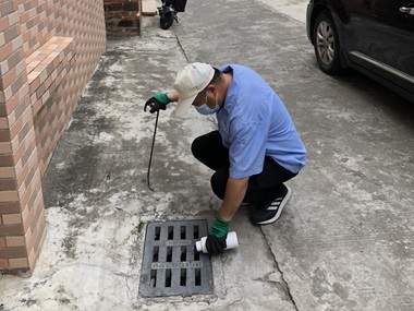 长兴专业杀虫机构下水道蚊虫滋生怎么灭治